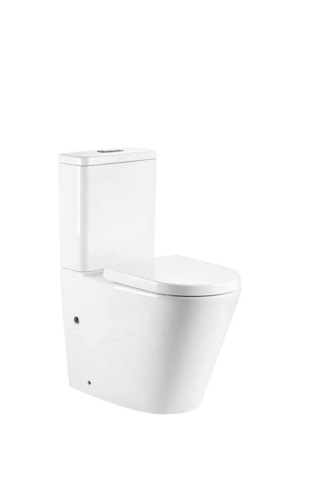 Eclipse Wall Faced Rimless Toilet Suite